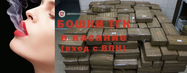 тгк Бородино