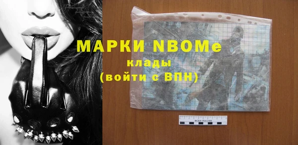 прущий лед Богданович