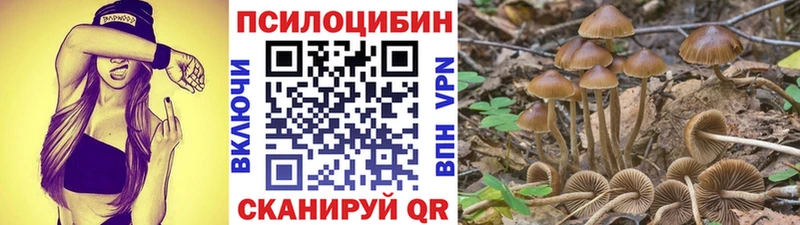 Галлюциногенные грибы ЛСД  Волгореченск 